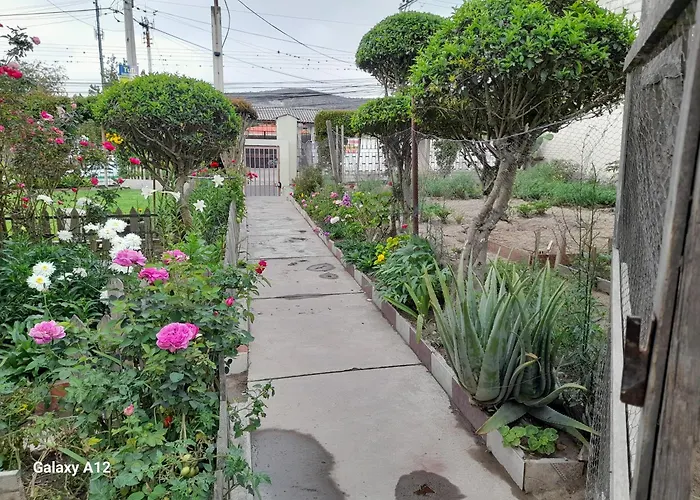 Rose Garden