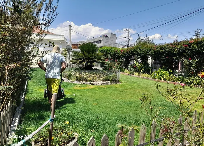 Rose Garden