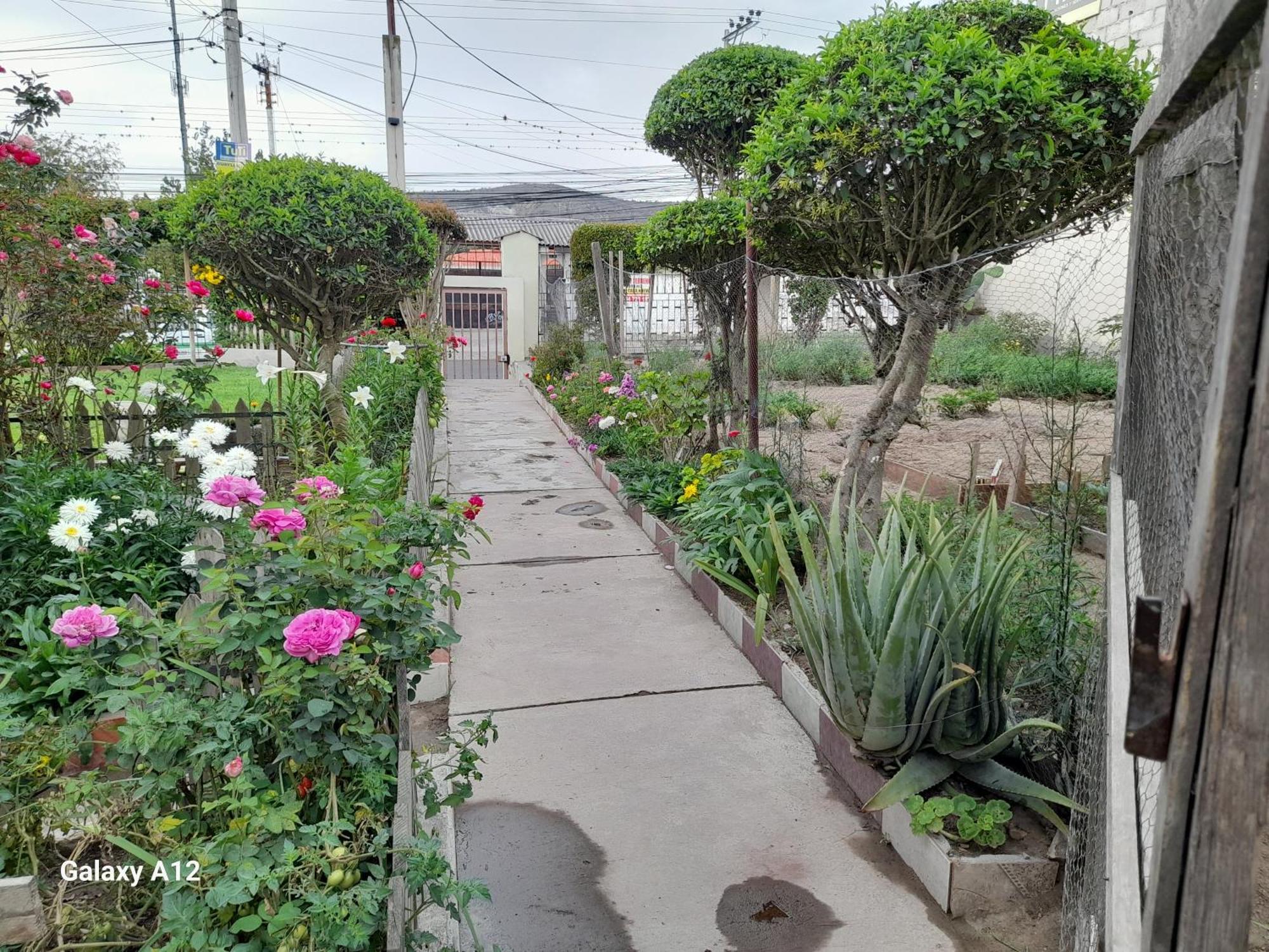 Apartment Rose Garden *